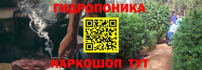 ГАЛЛЮЦИНОГЕННЫЕ ГРИБЫ Кулебаки