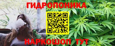 индика Кунгур