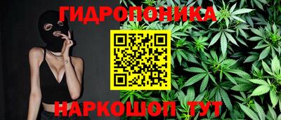 индика Кунгур