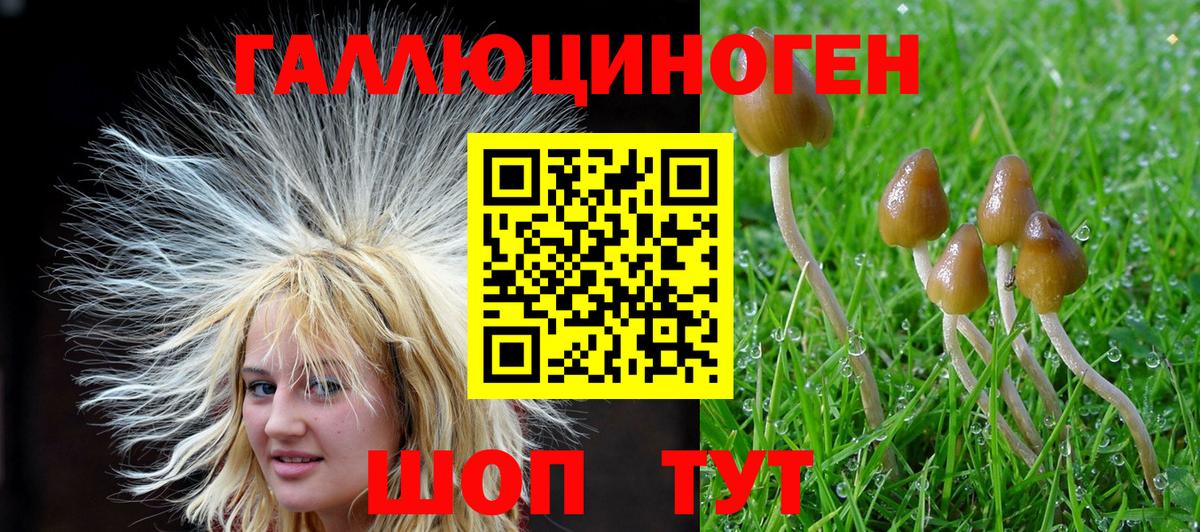 Псилоцибиновые грибы MAGIC MUSHROOMS Йошкар-Ола